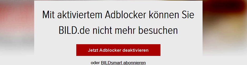 BILD Zeitung blockt Adblock Nutzer im Internet