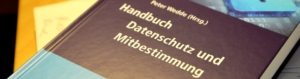 wedde-handbuch-datenschutz-und-mitbestimmung